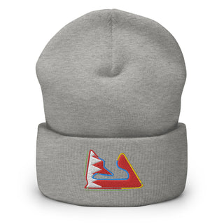 Bahrain Circuit Sectors with DRS Zones and Flag F1 Embroidered Cuffed Beanie